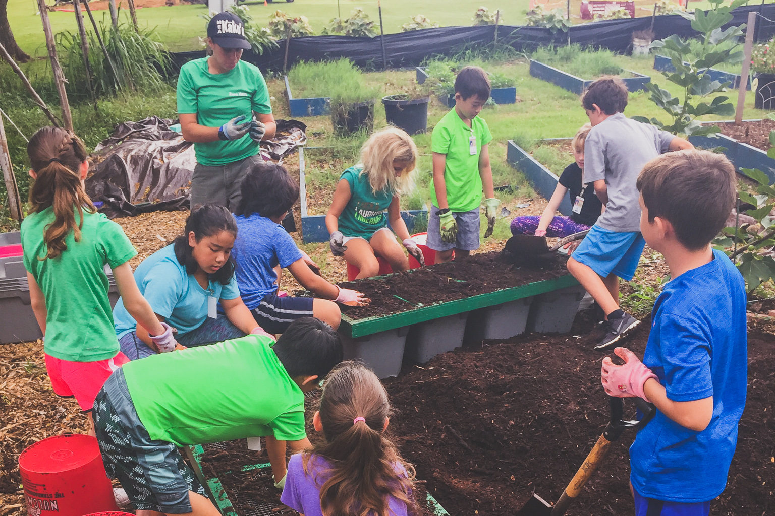 Ka'elepulu students help to harvest compost.